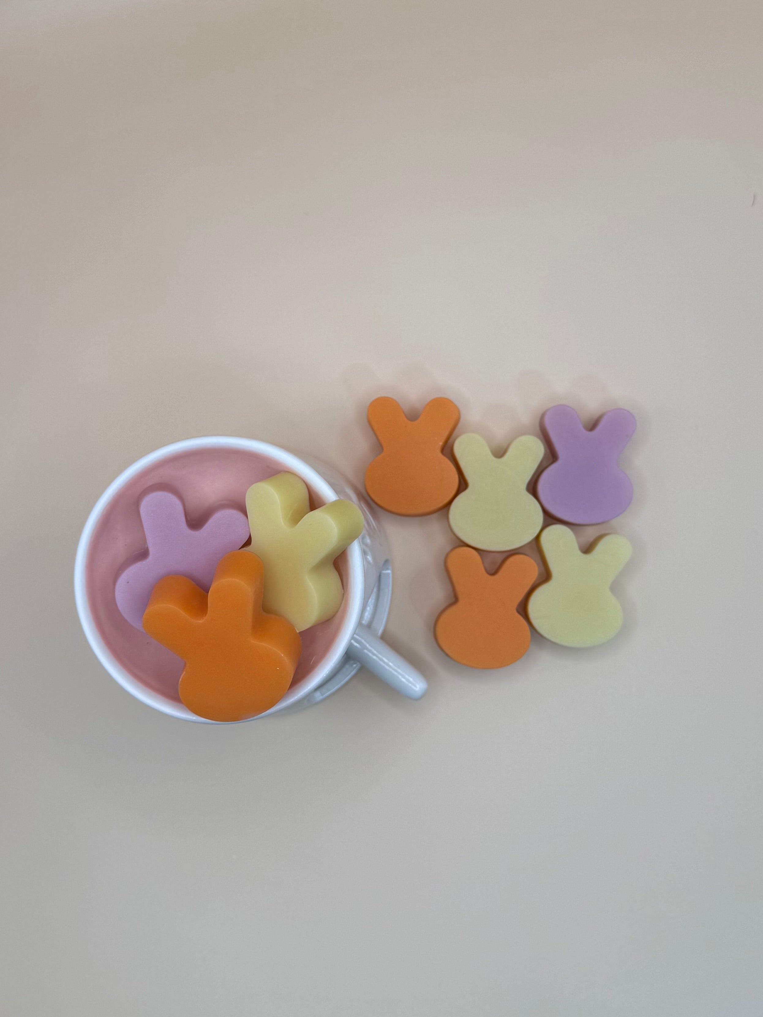 Wax Melt Experience Set