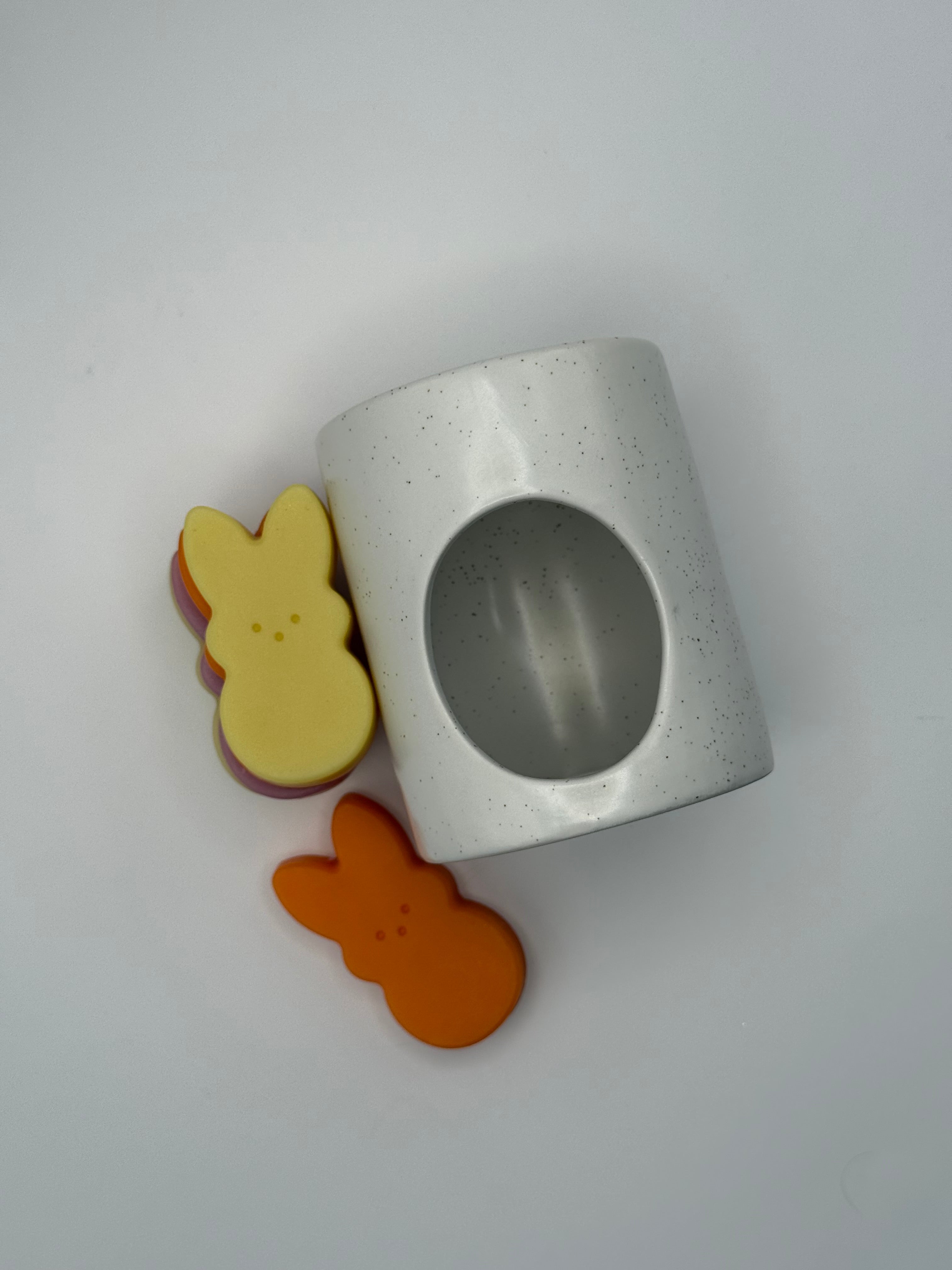 Wax Melt Experience Set