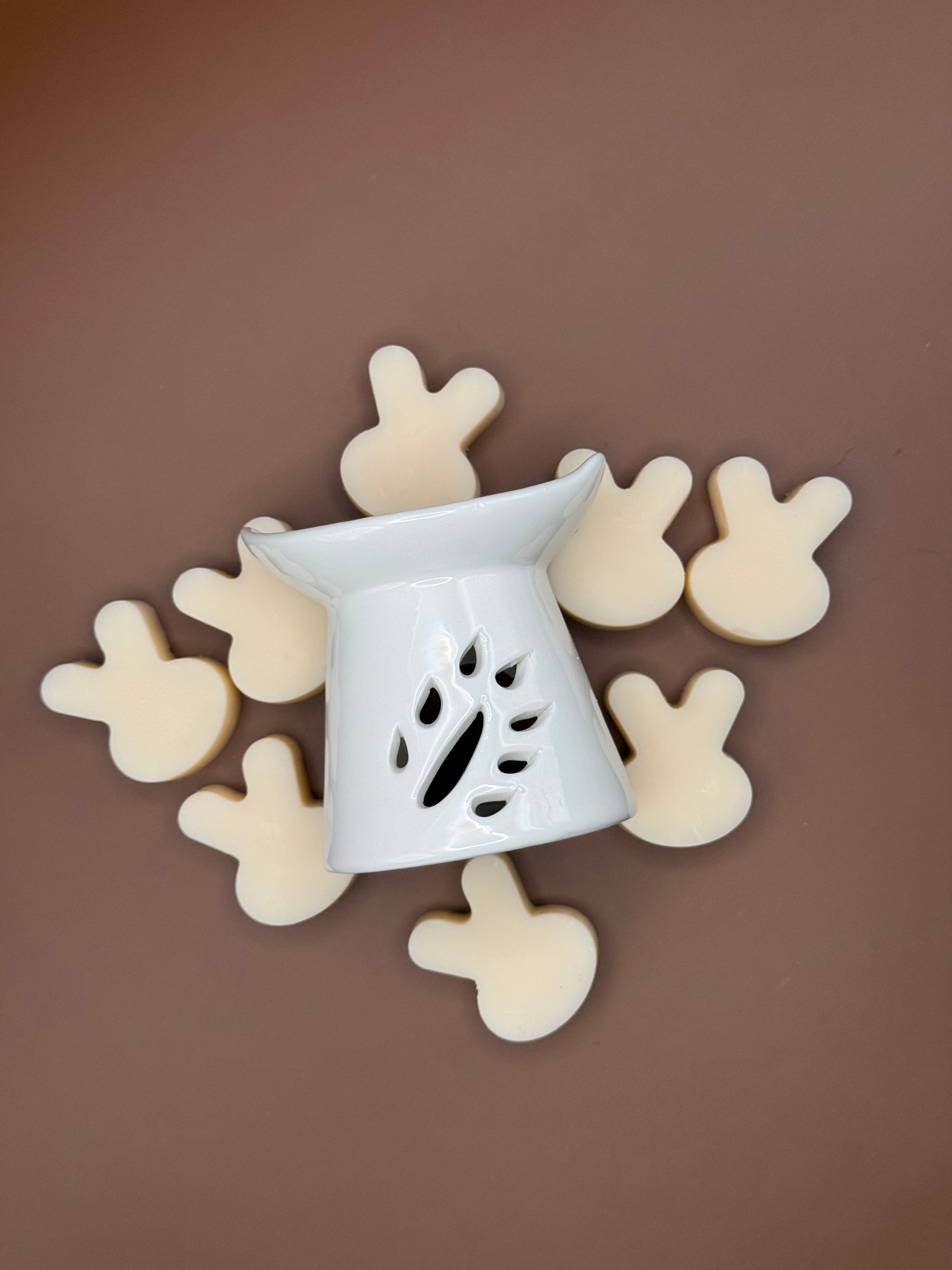 Wax Melt Experience Set